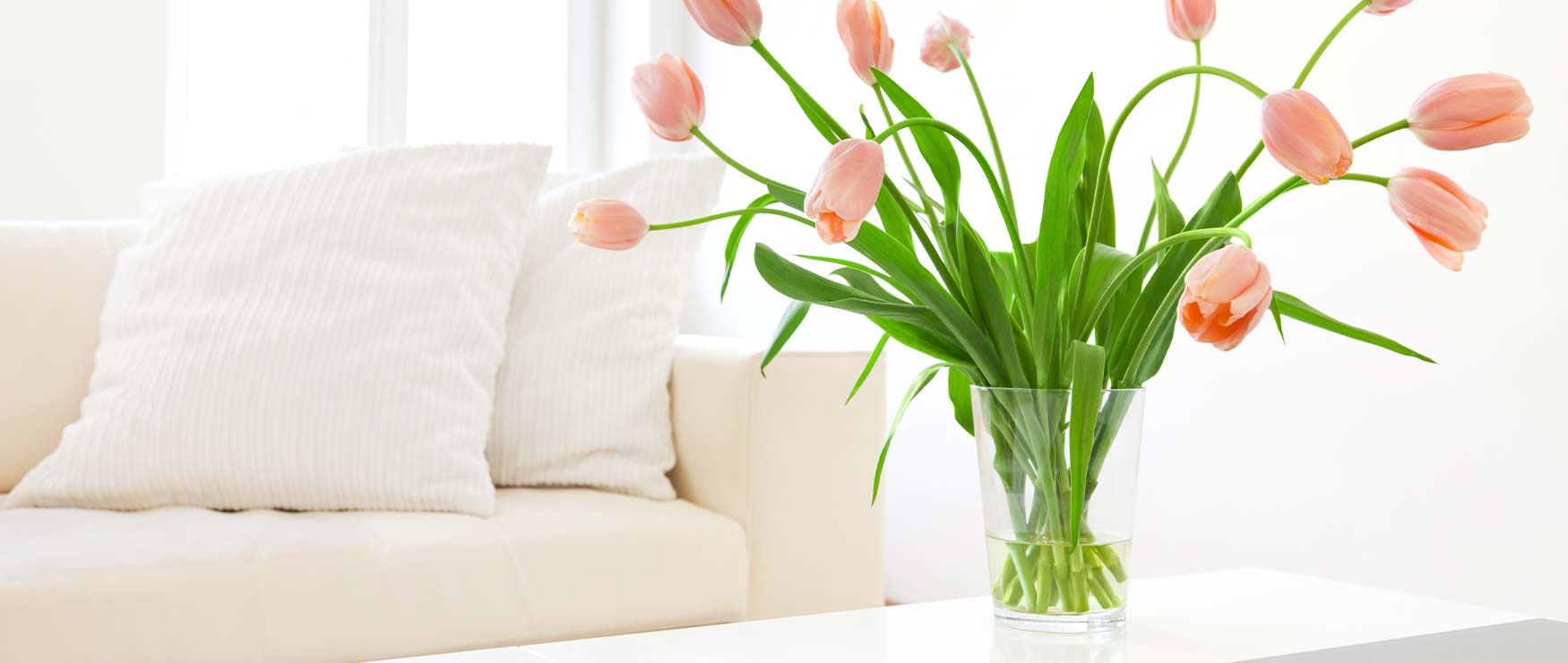 cream couch and pink tulips