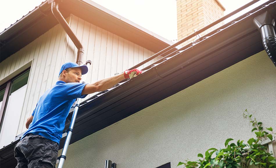 gutter cleaning